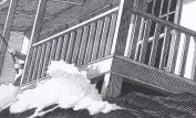 Chris Van Allsburg