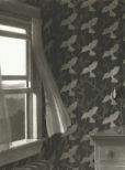 Chris Van Allsburg