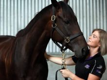 Chris Waller