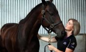 Chris Waller