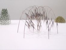 Christine Lohr