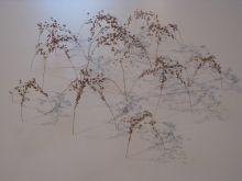 Christine Lohr
