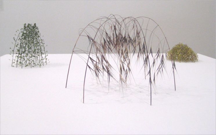 Christine Lohr