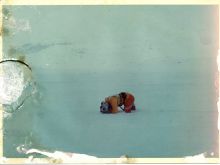 Christopher Corey Smith #2555260 picture (Landscape Medium)