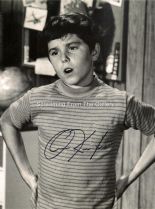 Christopher Knight