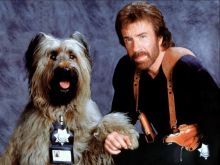 Chuck Norris