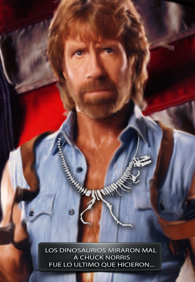 Chuck Norris