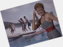 Cindy Carol