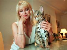 Cindy Jackson