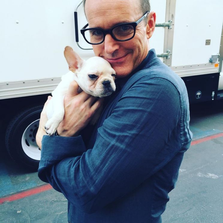 Clark Gregg