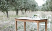 Claudia DiMartino
