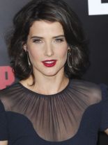 Cobie Smulders