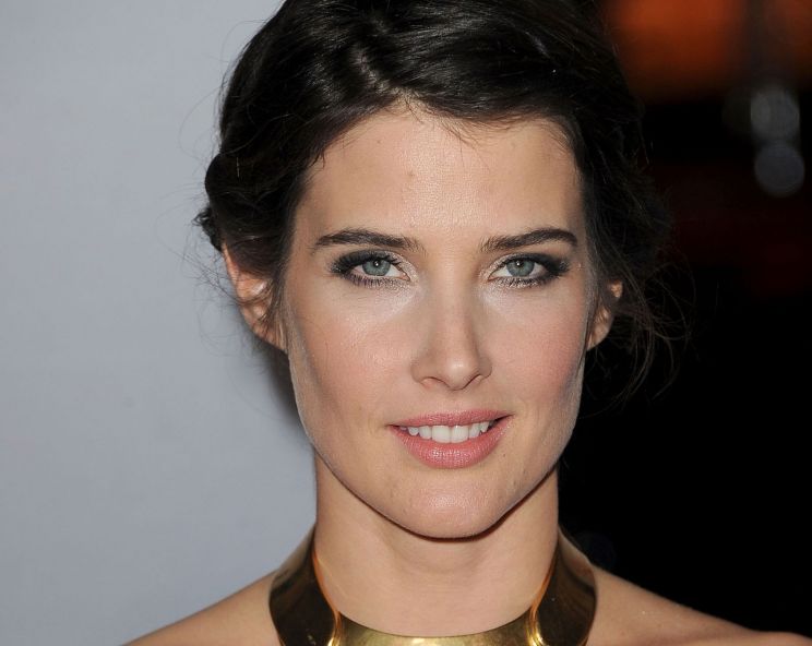 Cobie Smulders