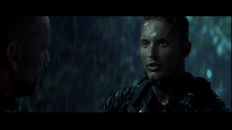 Cole Hauser