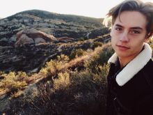 Cole Sprouse