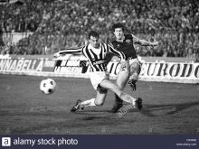 Colin Gibson