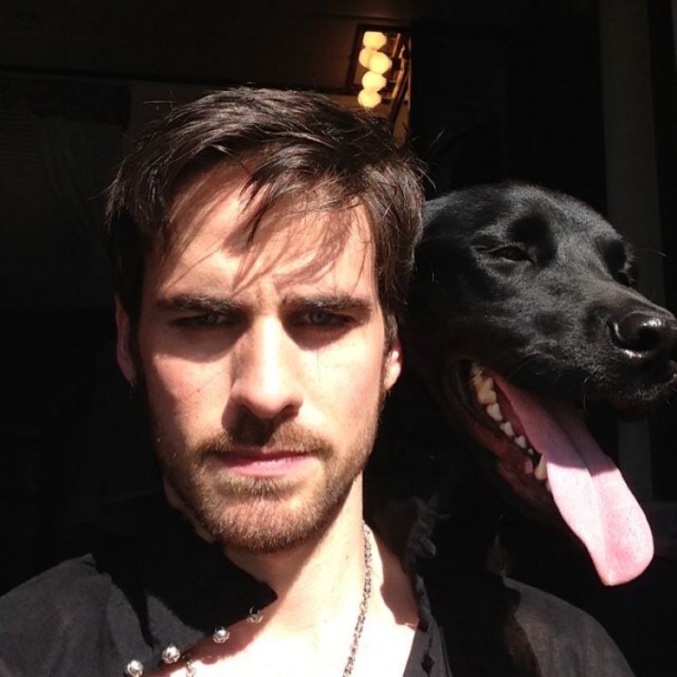 Colin O'Donoghue