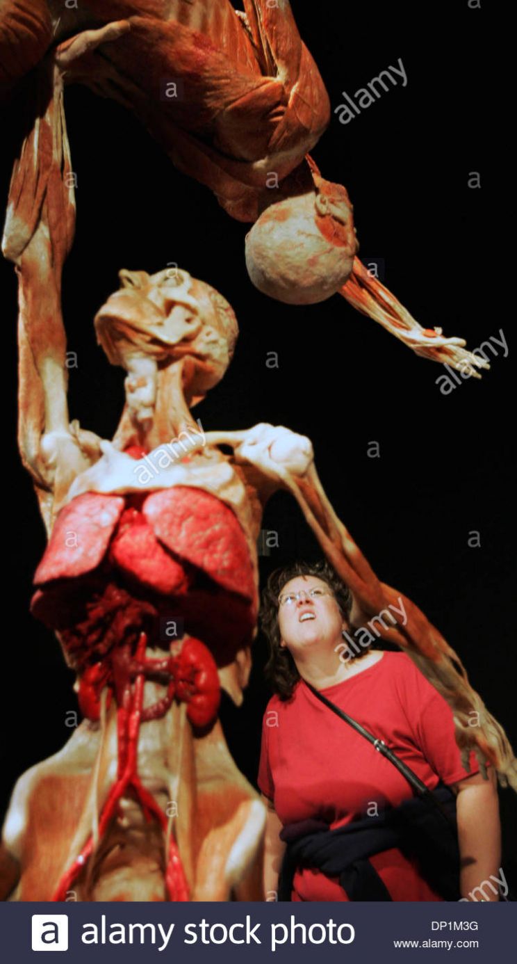 Colleen Zenk