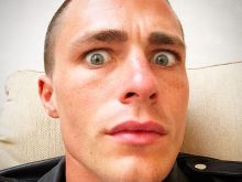 Colton Haynes