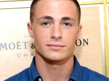 Colton Haynes