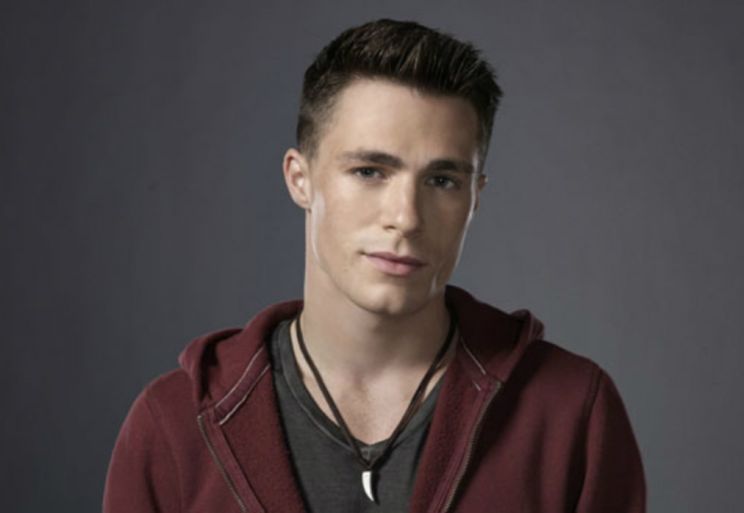 Colton Haynes