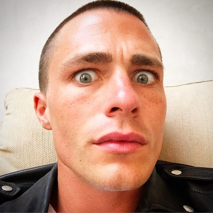 Colton Haynes