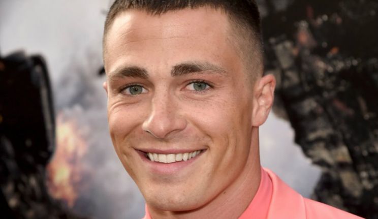 Colton Haynes