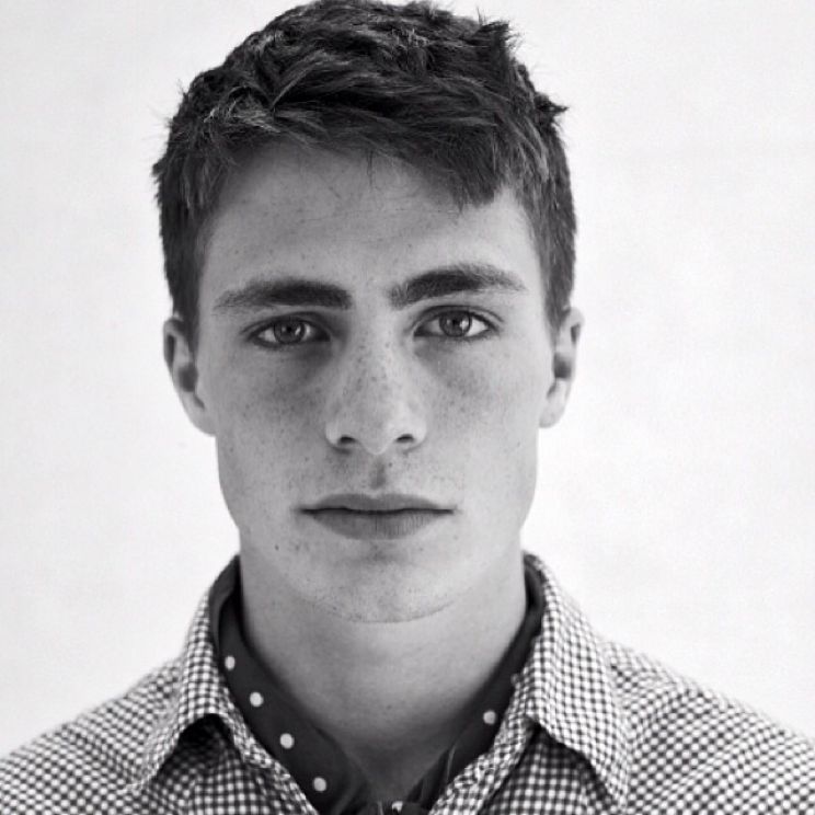 Colton Haynes