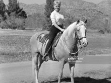 Connie Hines