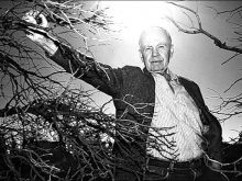 Cormac McCarthy