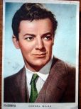 Cornel Wilde