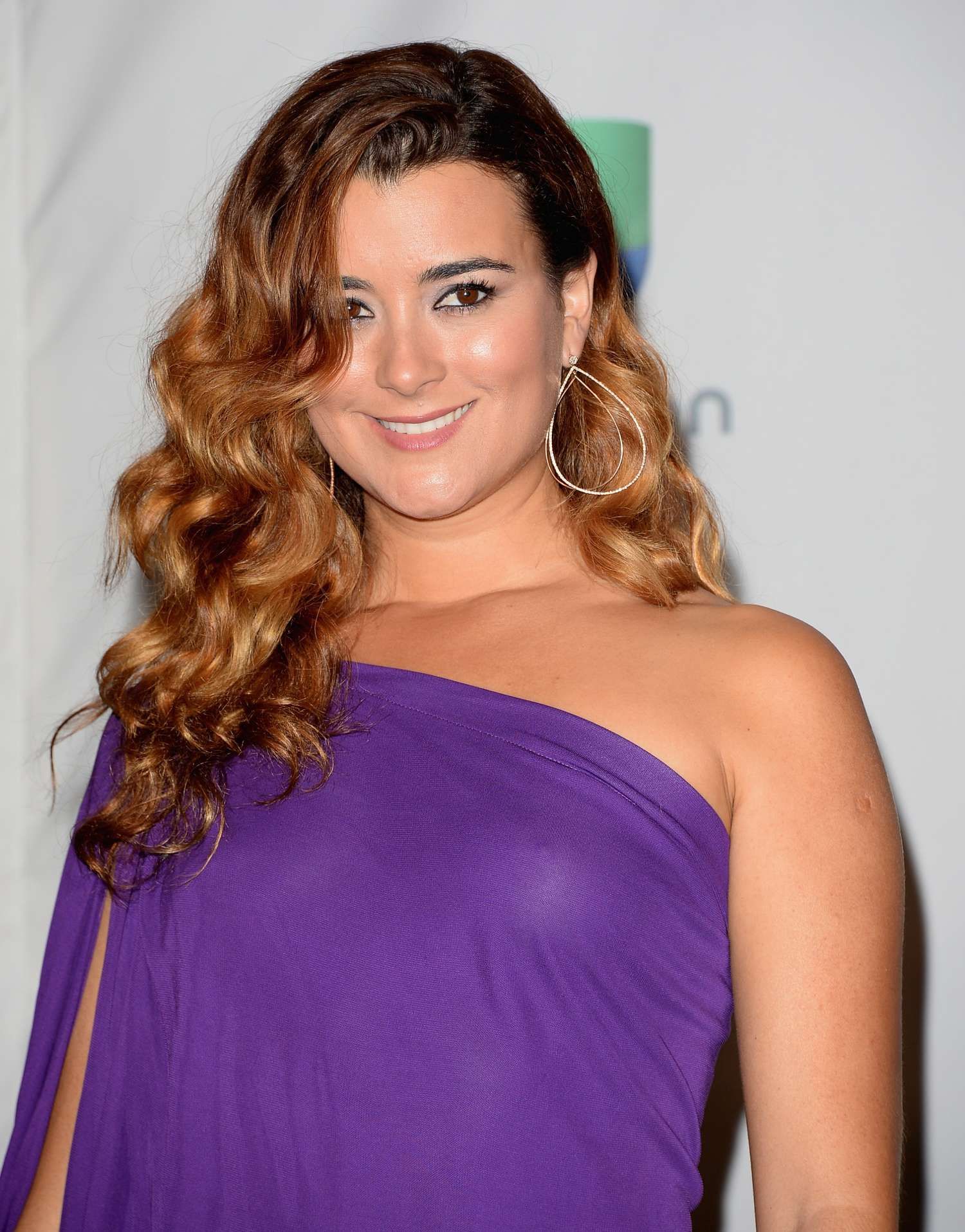 Cote de Pablo's Biography. 