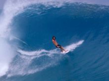 Craig Anderson