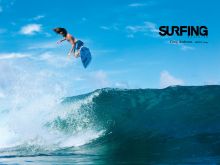 Craig Anderson