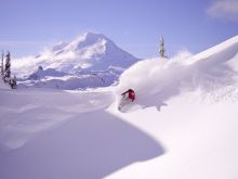 Craig Kelly