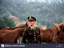 Craig Sheffer