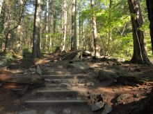 Craig Veroni #3508761 picture (Landscape Medium)