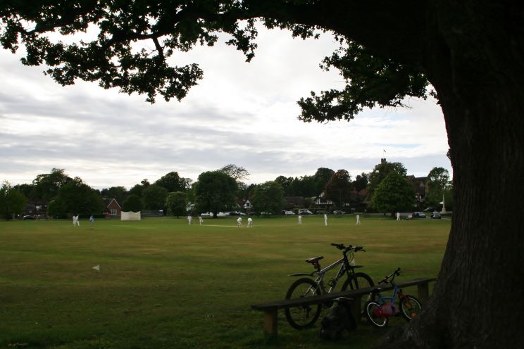 Cricket Leigh