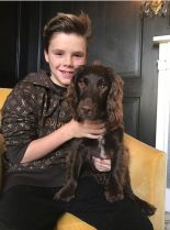 Cruz Beckham