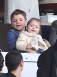 Cruz Beckham