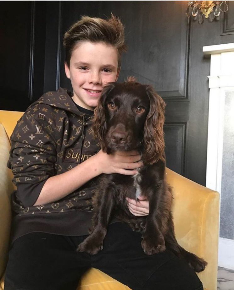 Cruz Beckham