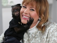 Crystal the Monkey