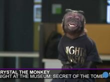 Crystal the Monkey