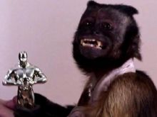 Crystal the Monkey