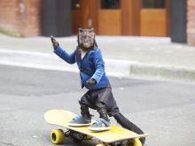 Crystal the Monkey