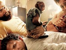 Crystal the Monkey