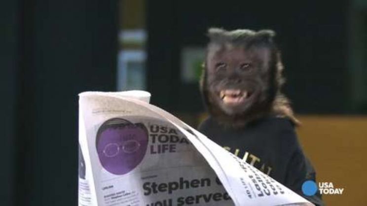 Crystal the Monkey