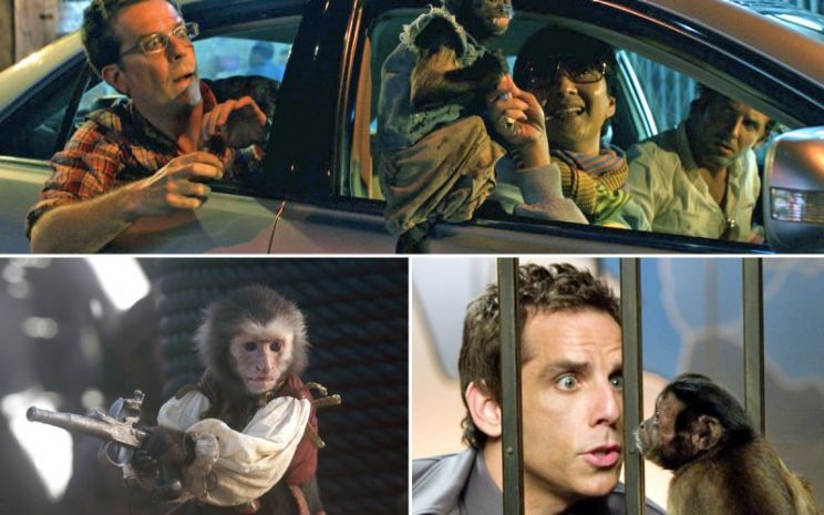 Crystal the Monkey