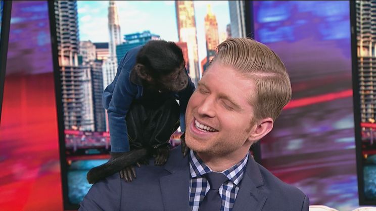 Crystal the Monkey