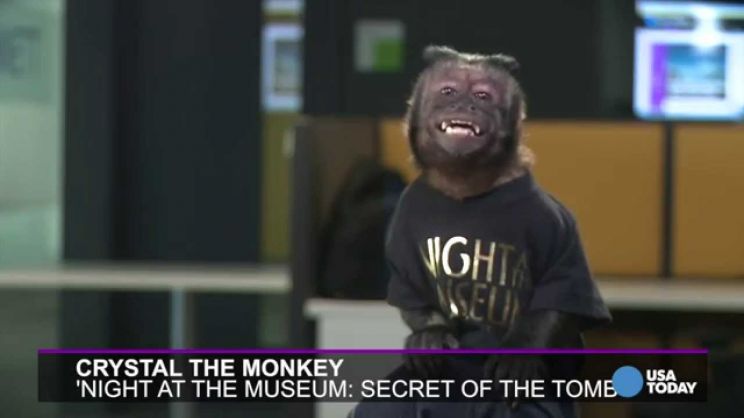 Crystal the Monkey